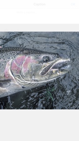 Fishing Report Image