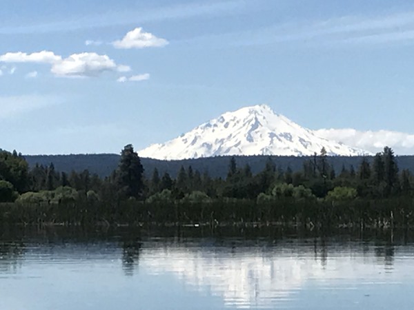 Shasta looking beautiful covered in snow 