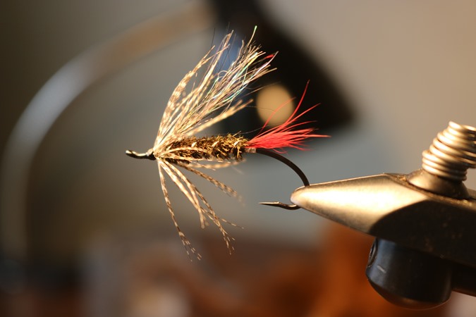 Soft Hackles, the bread and butter of the Trinity 