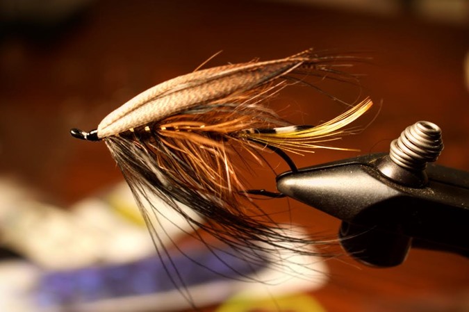 A traditional Spey Fly. Nothing says classic like a feather wing. 