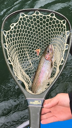 Fishing Report Image