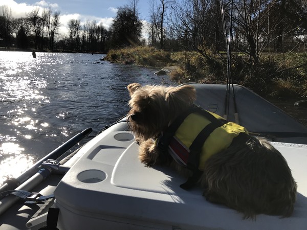 Fishing Report Image