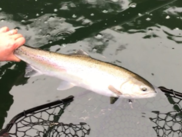 Finally got on the board with this fish yesterday