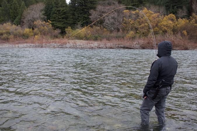 Steve finds a nice adult. Gets corked. Gets the fin!