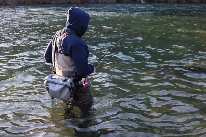 Waiting for the big pull. 