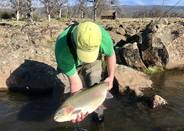 Troy with a Monster!