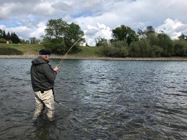 Hooked up on a dry fly