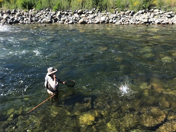 Ron landing a fish