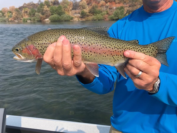 Brian caught this fish on his first cast