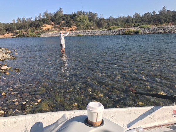 Dry flies in shallow riffles can be a kick in the pants