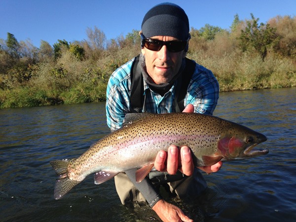 Battle Creek Steelhead...