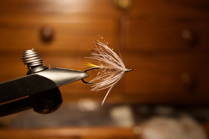 A simple soft hackle tied on a sz8 Alec Jackson. 