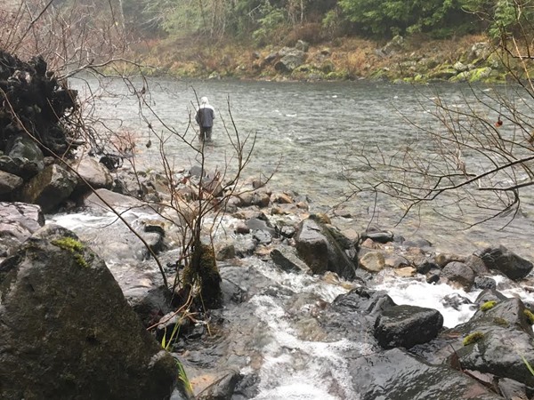 Jay braved the rain on the Smith River waiting for the pull