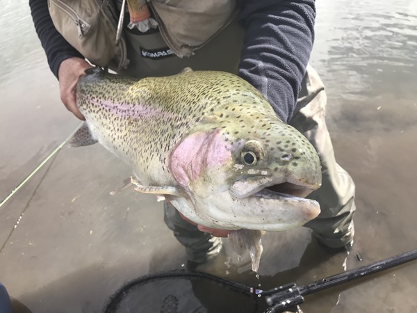 Fishing Report Image