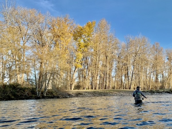 Beautiful Fall days swinging flies