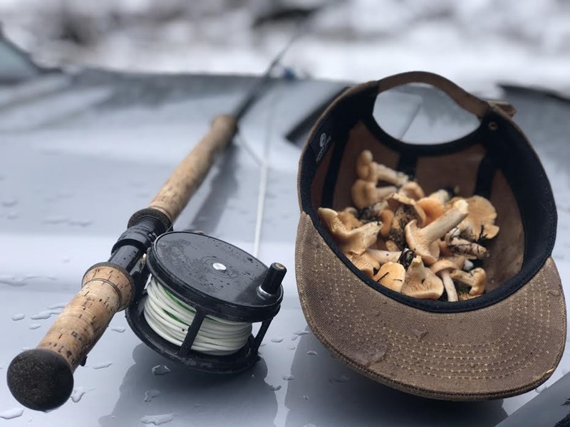 Some wild mushrooms picked on the way into the run. 