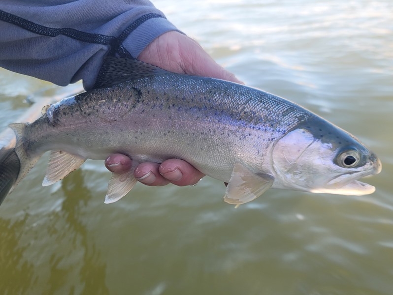 Yuba River Fishing Image