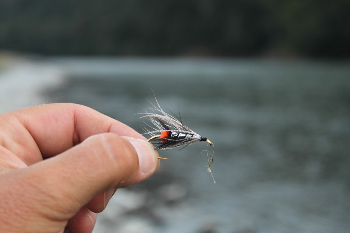 Classic steelhead patterns are on the menu