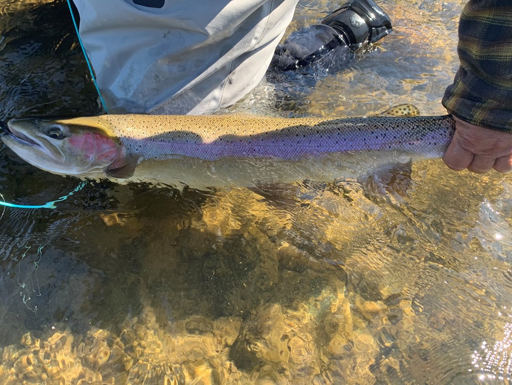 Fishing Report Image