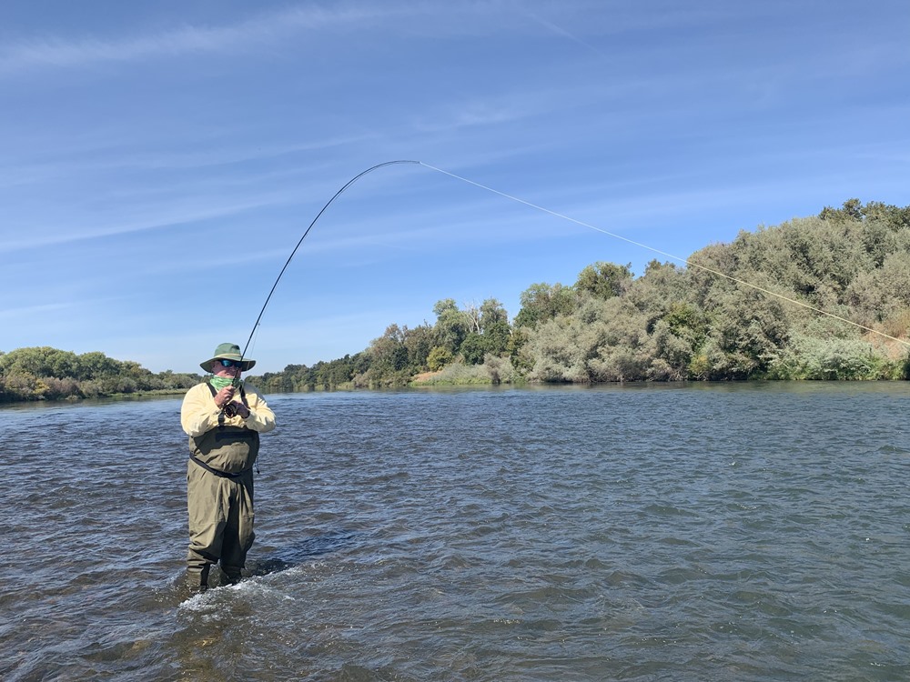 Tom fishing dries