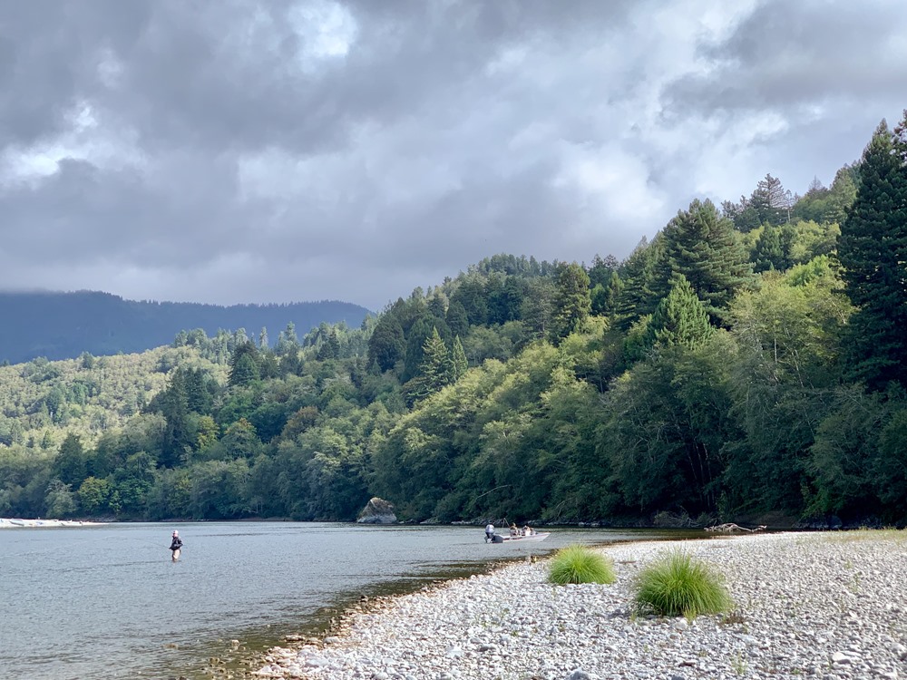 Steelhead weather