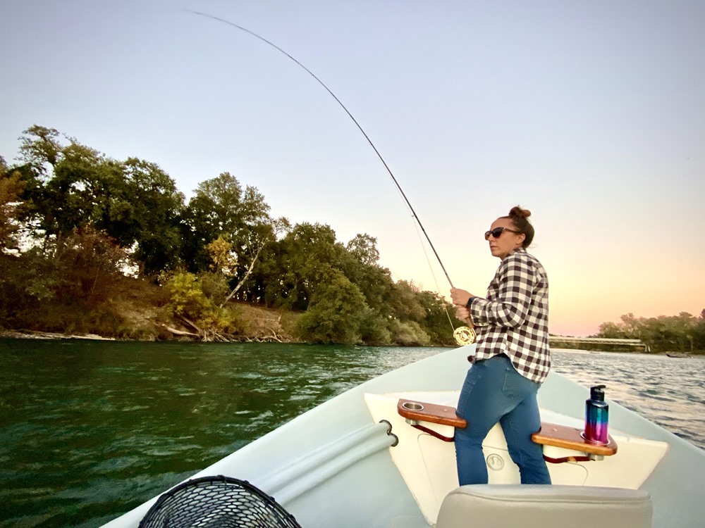 Sunset and bent rods