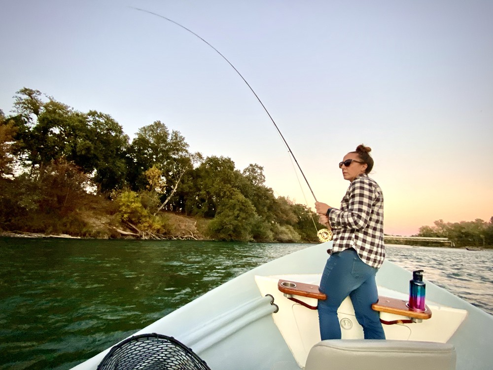 Sunset and bent rods 