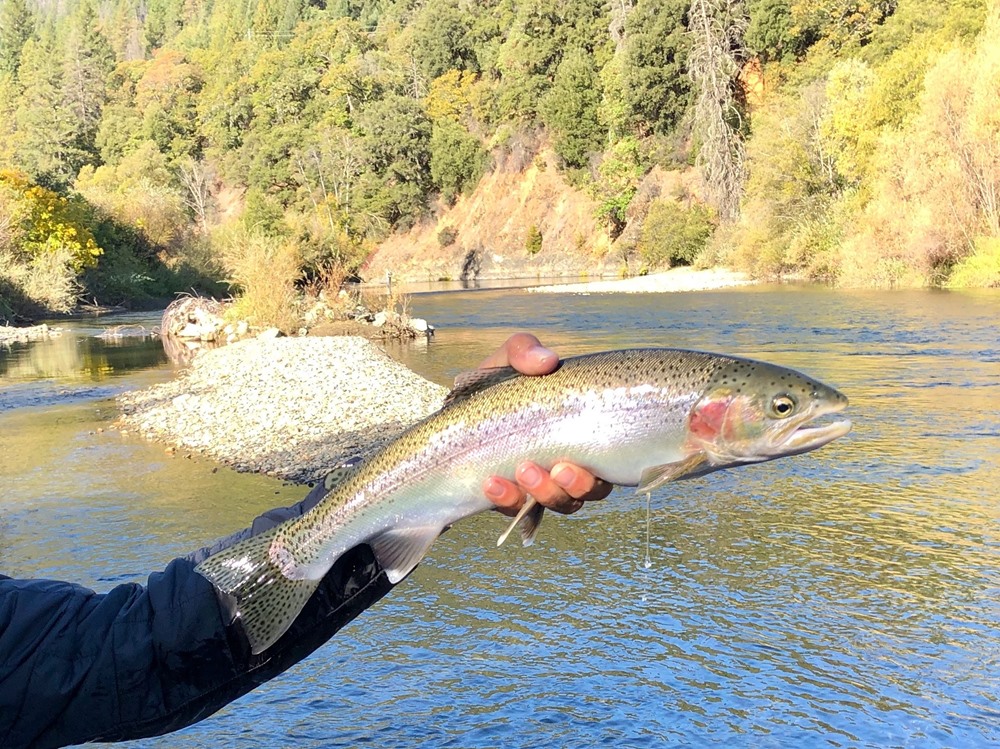 Bruce was rewarded with this nice fish