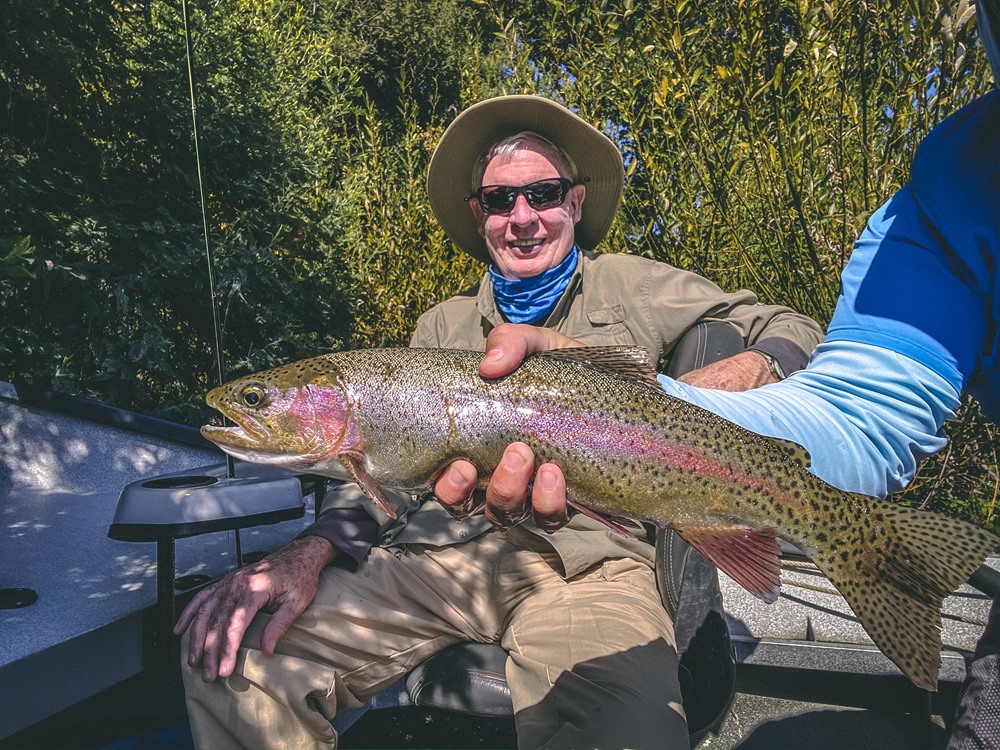 A chunky 16 inch Sac River 'Bow