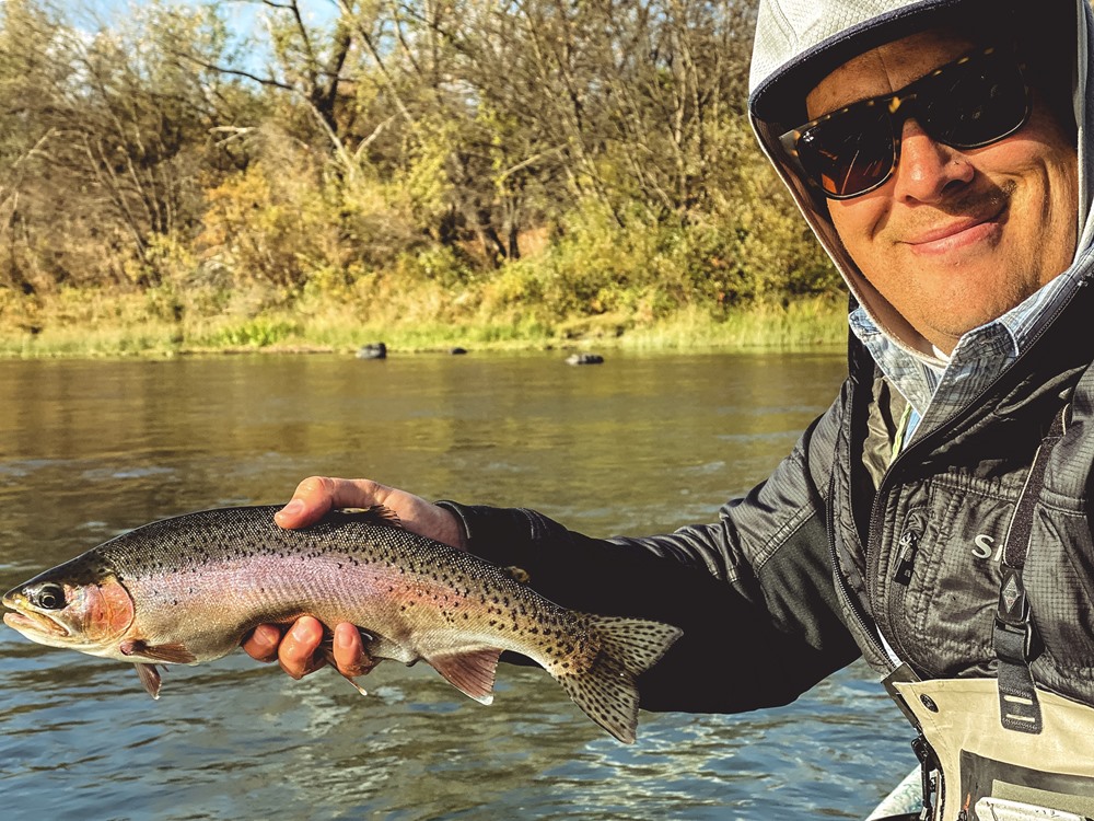 These trout are still stuffed from all those eggs! 