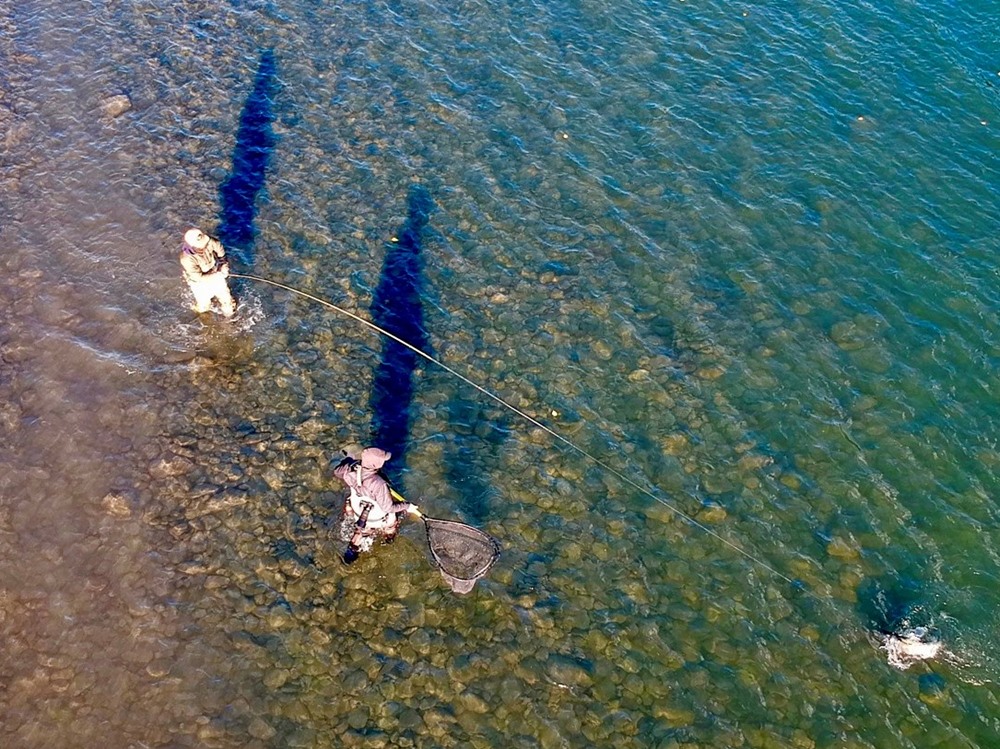 Birds eye view on the Skeena