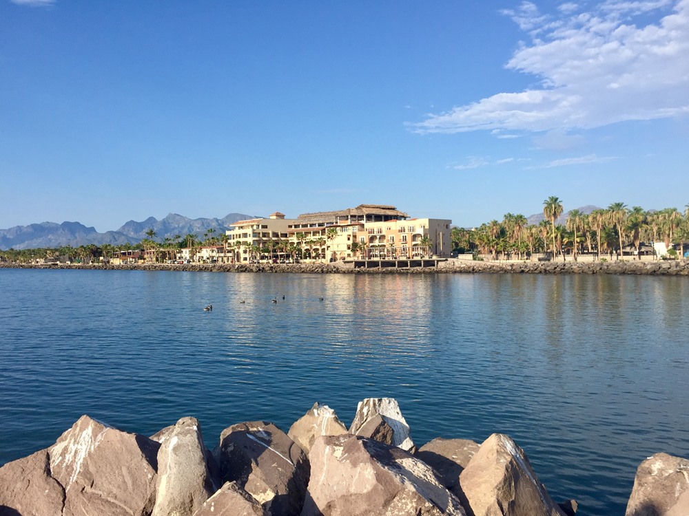 View of the hotel from the marina