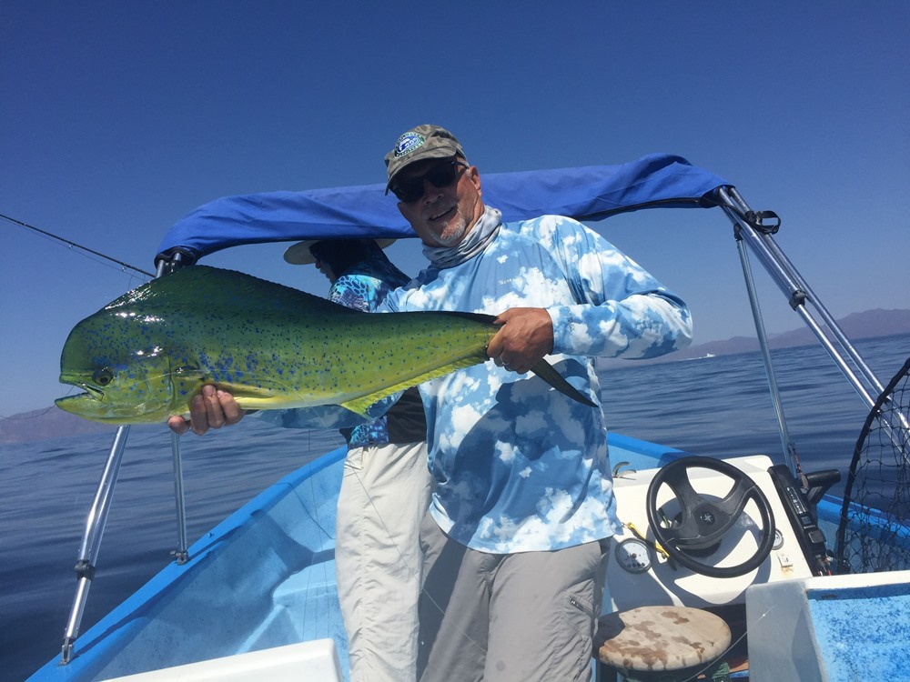 Dorado! Dorado!