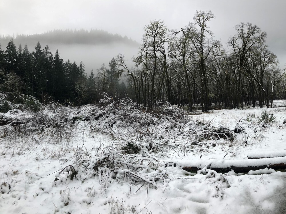 Snowy morning from one of the heaviest snowfalls during a winter steelhead season