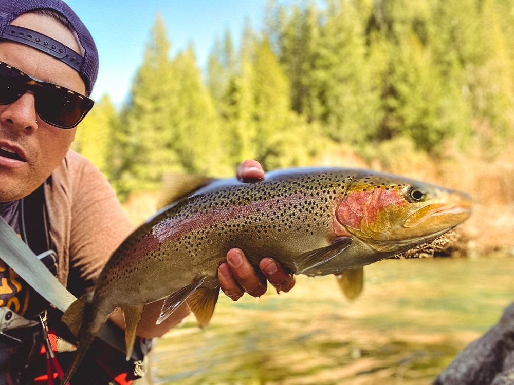 Did someone say size 20 zebra midge? 