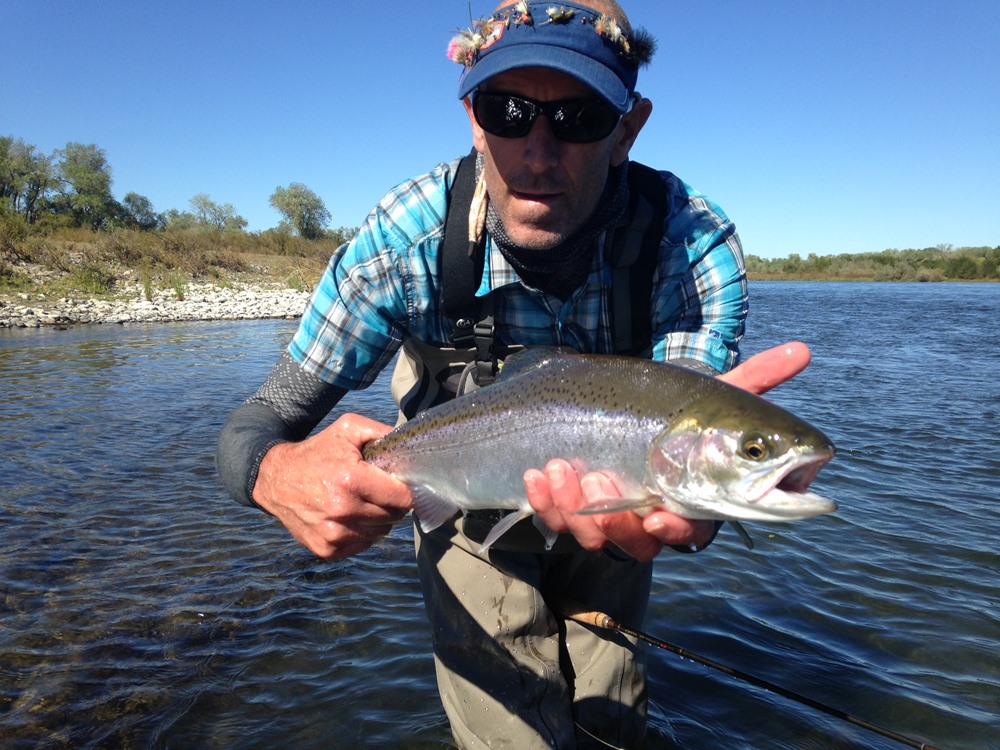 Battle Creek Steelhead