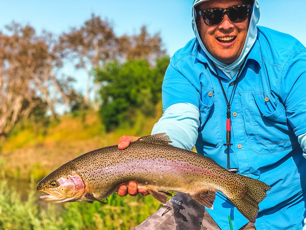 Steelhead Porn