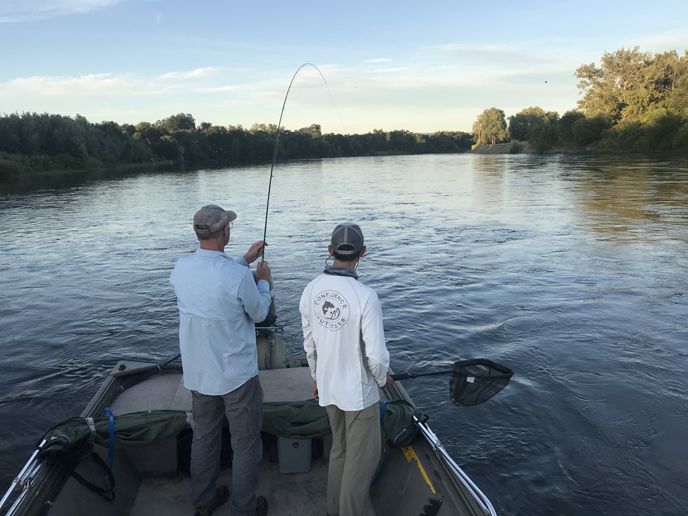 Rich hooked up on a shad