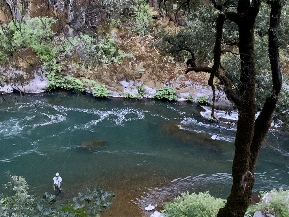 Leslie in a classic McCloud pool