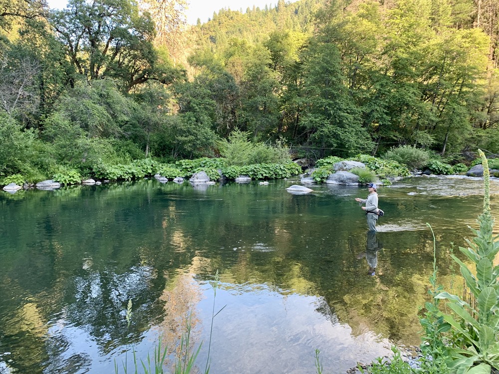 Evening New Zealand style upstream dry fly fishing