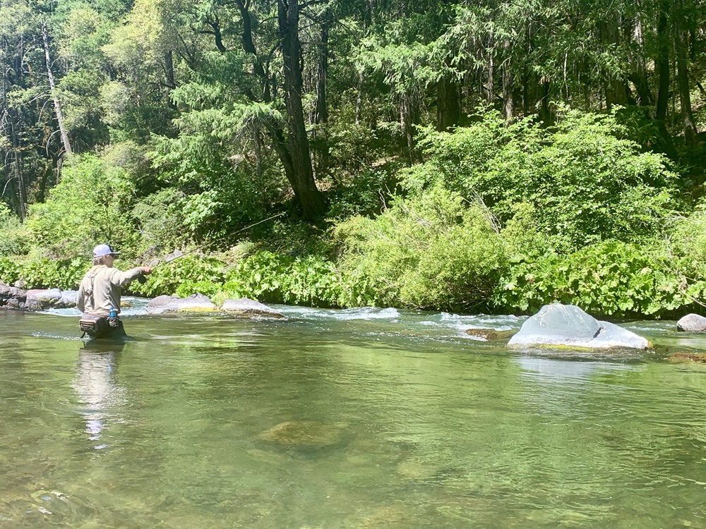 High stick dry fly