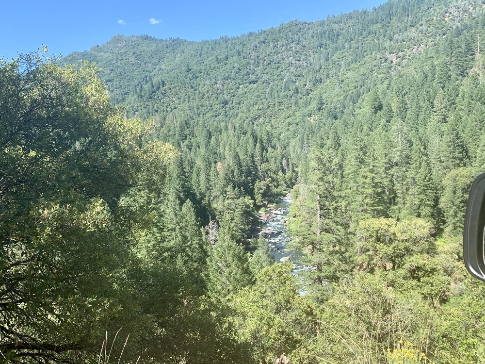 The remote beauty of a perfect trout stream