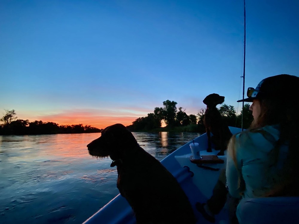 Happy dogs and gal.