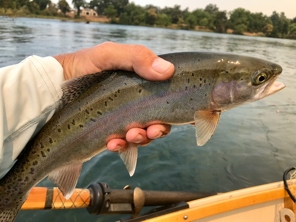 Fishing Report Image