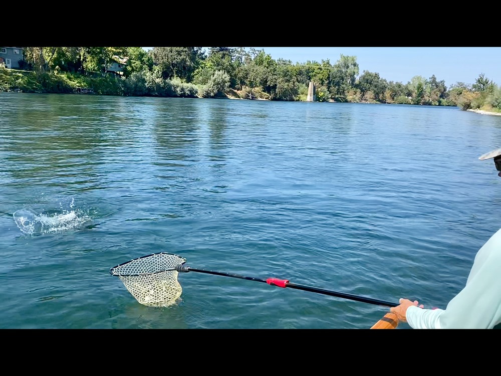 A big splash and gone, Extendo-Net notwithstanding.