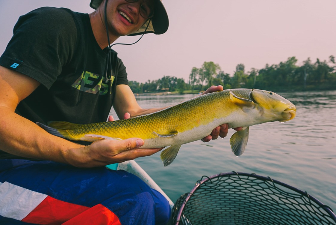 Annnnnnnd, we got the biggest sucker I've ever seen on the Sac (24 inches).