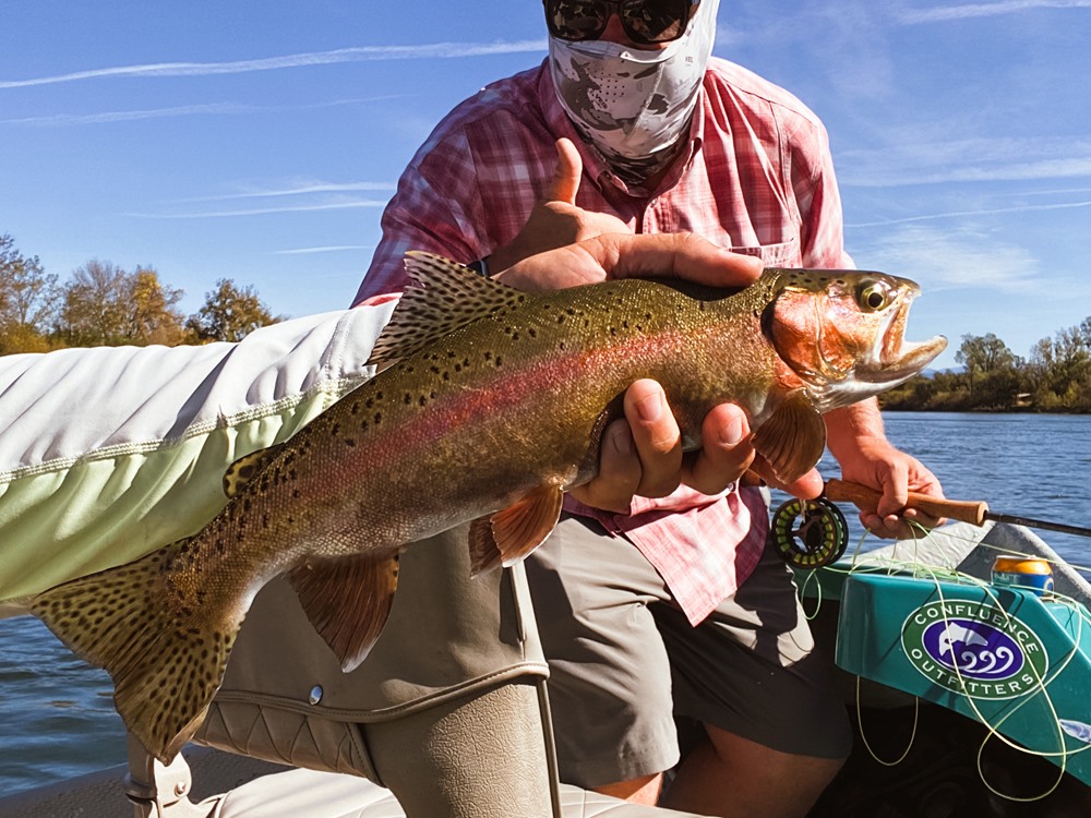 A handful of #troutslab.