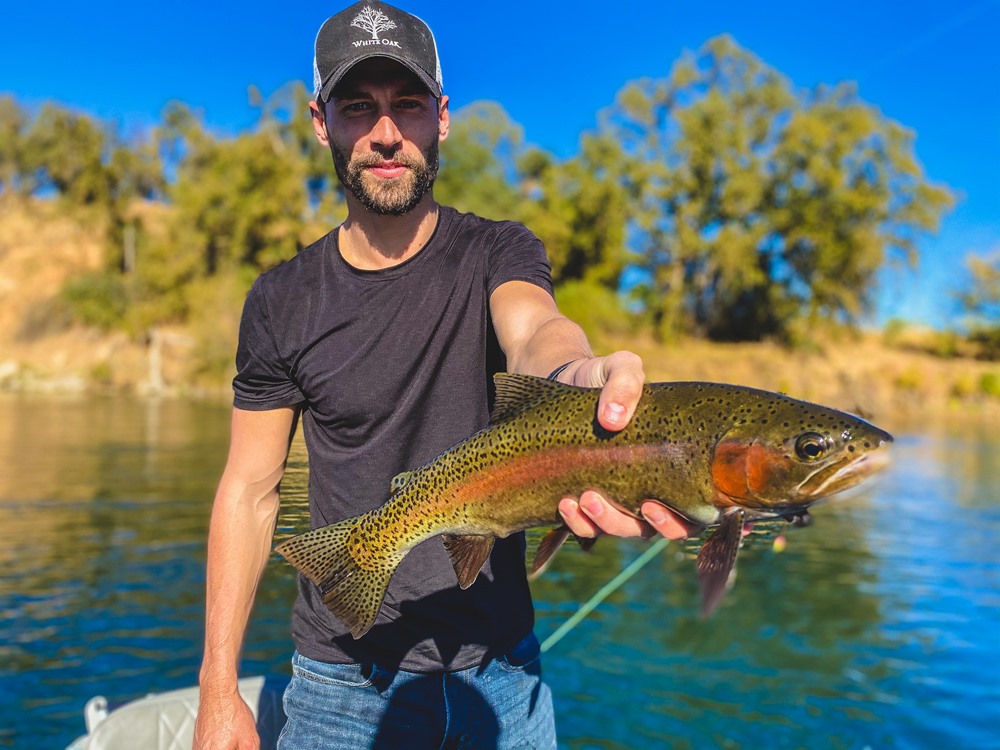 Another 19 inch steelhead... or trout...