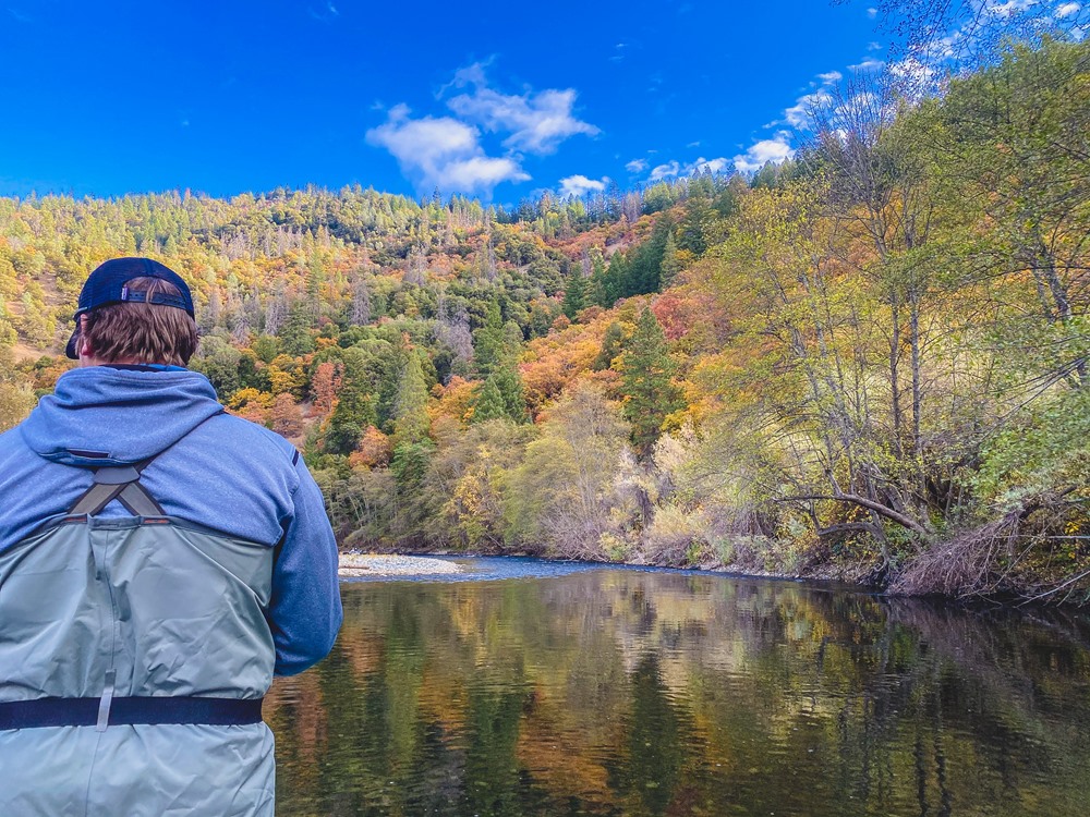 The fall colors are looking good.