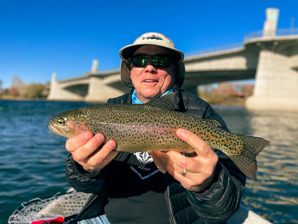 A healthy Lower Sac trout troll that lives under a bridge!